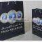 Promotion Paper Bags