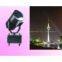 sky rose / outdoor light / project lightings