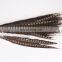 best quality 30-40cm pheasant feather