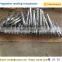 Hand held transplanter for tomatoes / manual vegetable transplanter