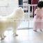 Safe Fence Stylish Square Pet Cage Teddy Doghouse Cat Cage Rail High-End OEM and ODM Pet Supplier