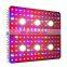 3000W LED Grow Light with Daisy Chain Veg and Bloom Switches Full Spectrum Plant Growing Lights for Indoor Plants Veg and Flower