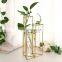 Hydroponics Clear Planter Nordic Style Test Tube Vase with Metal Stand