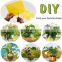 Yelin 50 Pack Yellow Dual-Sided Sticky Fly Traps for Plant Insect Like Aphids Fungus Gnats Leaf Miners and White Flies