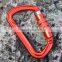 JRSGS 30KN D Type Screw Locking Carabiner Snap Hook S7111 Custom Colors Aviation Aluminum Alloy for Rock Climbing Aluminum