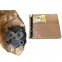 Caterpillar 127-6356 1276356 CAT Cover AS 1614113 für Motor C15 C18