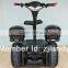 2013 new style golf electric scooter think car