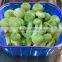fruit and vegetable packing mushroom plastic tray