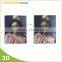 OEM 3d lenticular changing pictures 3d move Halloween picture