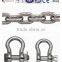 stainless steel S209 shackle