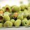 Factory Direct Supply Professional Japan Bean Coating Equipment Manufacture