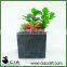 Small Mini Artificial Potted Plant Bonsai Succulents Garden for Wholeselling
