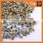 Ss10 Newly Design Wholesale Pointback Rhinestone