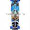 Surfing on land skateboard long board with carbon fiber deck