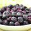 We are supply FD Frozen Dried Blueberry with good Quality