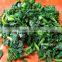 IQF Spinach Leaf IQF with good quality for sale