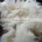 Raw White cotton shoddy fiber/ Cotton recycle comber