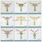 Sample card of TPU shoe decoration for lady