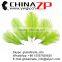 ZPDECOR No.1 Supplier in China Factory Dyed Pale Green Exporting Wholesale from 6'' to 8'' Ostrich Feathers for Sale
