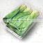 2.5kg Capacity Disposable Clear Plastic Punnet for Vegetable