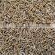 Fresh Singapore Quality Cumin Seed