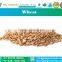 Feed Wheat Grade 2