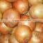 2015 fresh bulk onions with low price