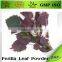 professional supplier pure organic Folium perilla leaf powder