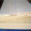 HPL high pressure laminated plywood poplar/ hardwood/combic/eucailptus/birch plywood