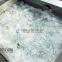 Small Automatic Electric Vegetable and Fruit Washing Machine