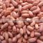 groundnut kernels/peanuts kernels