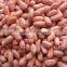 groundnut kernels/peanuts kernels