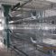 China sell automatic quail cage for Africa market