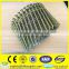 screw shank coil nails/coil wire nails factory