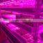 Best seller 20w led grow tube growing led light use in amsterdam