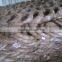 Electro Galvanized wire