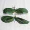 SJ10131028 artificial orchid leaf/fake phalaenopsis orchid flower leaves