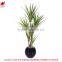artificial bonsai wholesale indoor bonsai trees made in china