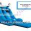 Inflatable dolphin slide,inflatable pool slide WS045