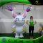 Custom Factory Pokemon Cartoon Character Costume Balloons Inflatable SPH hongyi Toy Sexy Animal PVC Inflatables