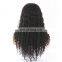 Human hair glueless lace front wig mongolian kinky curly hair wigs