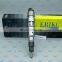 0445120083 Common Rail Diesel Injection 0 445 120 083 Auto Fuel Injector 0445 120 083 Injector Rebuild