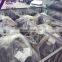 Jiuwu Power New Condition 4-Cylinder 4JG1 Engine ASSY ISUZU