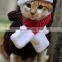 pet supplies wholesale dog Christmas hat set