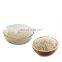 Hot Sale Bulk Food Grade Rice Protein Powder high quality