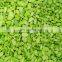 IQF Frozen Soybean Kernal Peeled Frozen Edamame