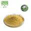 80% Silymarin Milk Thistle Extract Powder Free Sample