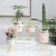 Modern Decor Simply Indoor Cylinder Succulent Cactus Pink Ceramic Flower Pots With Golden Metal Stand