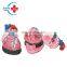 HC-S260 High quality human magnified heart demonstrating model