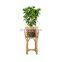 New Arrival Set Of 3 Rattan Plant Stand Decoration Hottest Plant Holder High Quality Wicker Flower Pot Holder Basket Wholesale